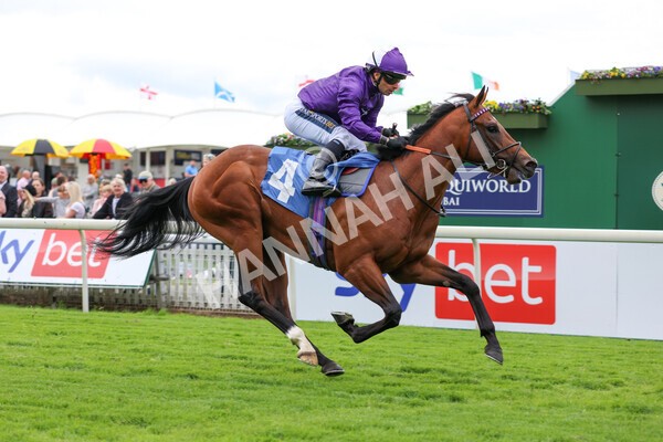 yr22052022r2-17 - Race 2: 4:00pm Sky Bet Sunday Series EBF Novice Stakes