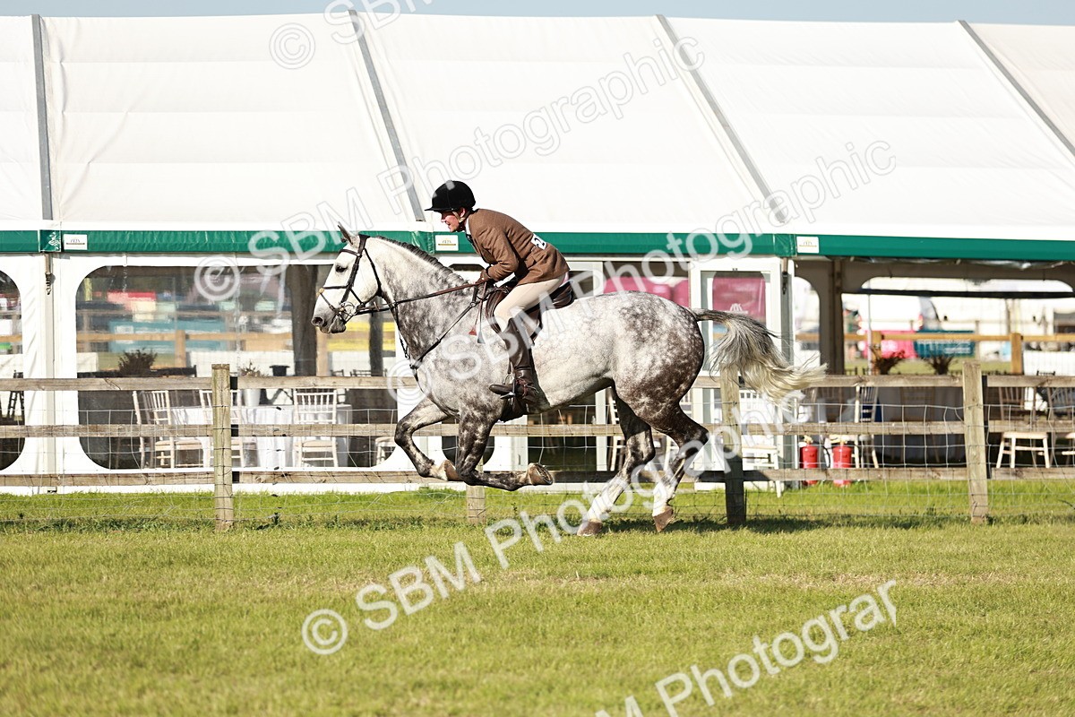 SBM_20003 - Class 115-116 - LIHS BSHA Rising Star Working Hunter & Show Horse