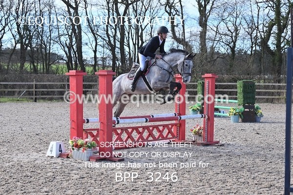 BPP_3246 - CLASS 2  Club/ Unaffiliated 80cms Open