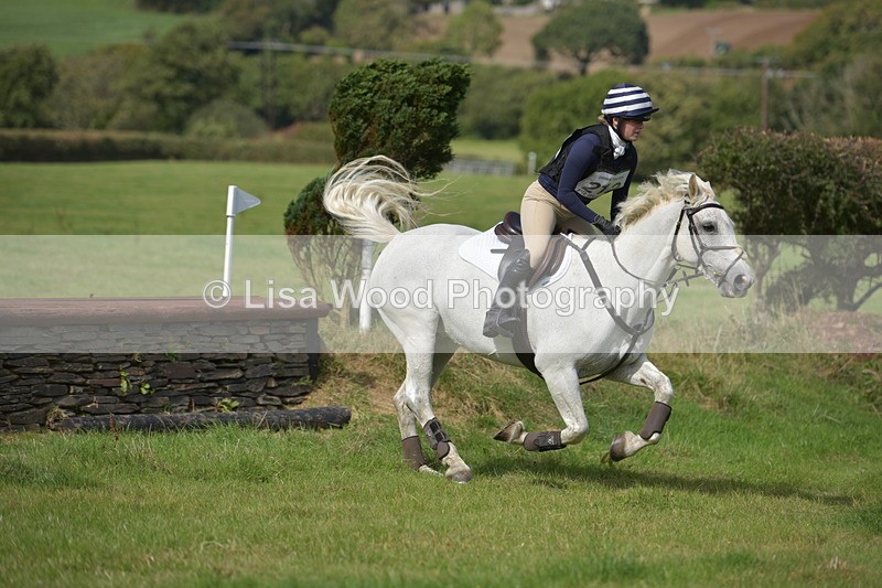 RAY_8841 - Class 2: Trekenning Open: Wall