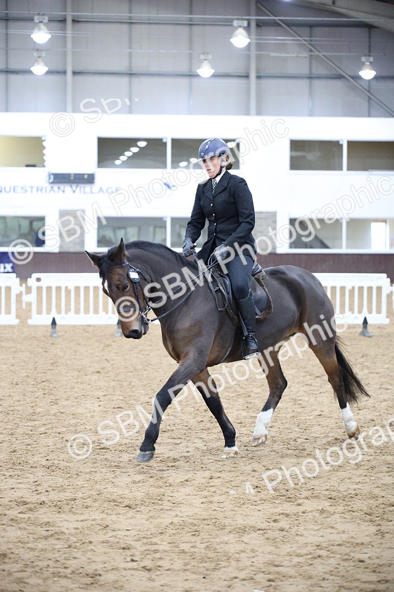 5K7A6080 - Class 48 - Ridden Mare