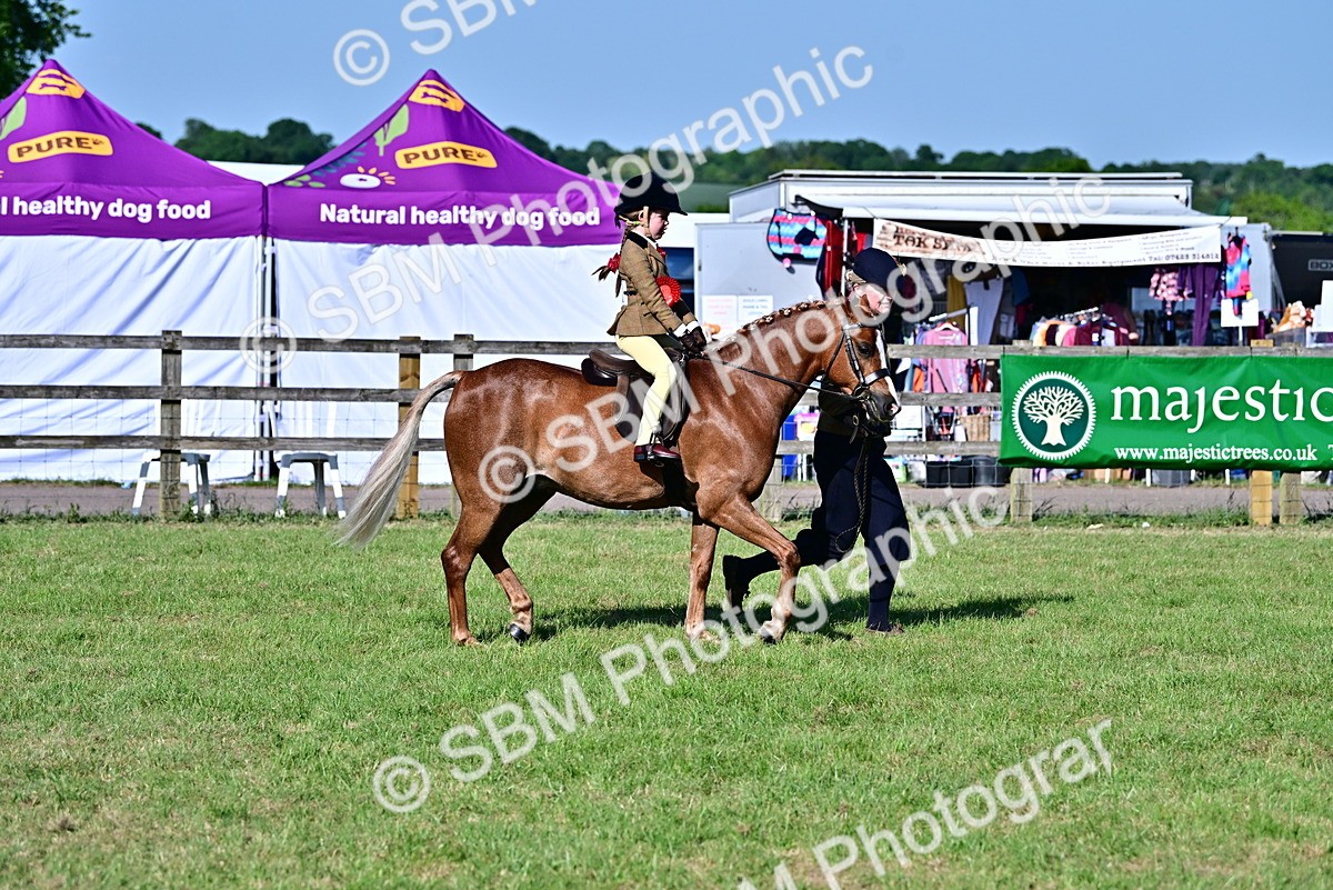 SBM_19836 - Class 103 - 105 - TSR Ridden Amateur of the Year Plaited Ponies