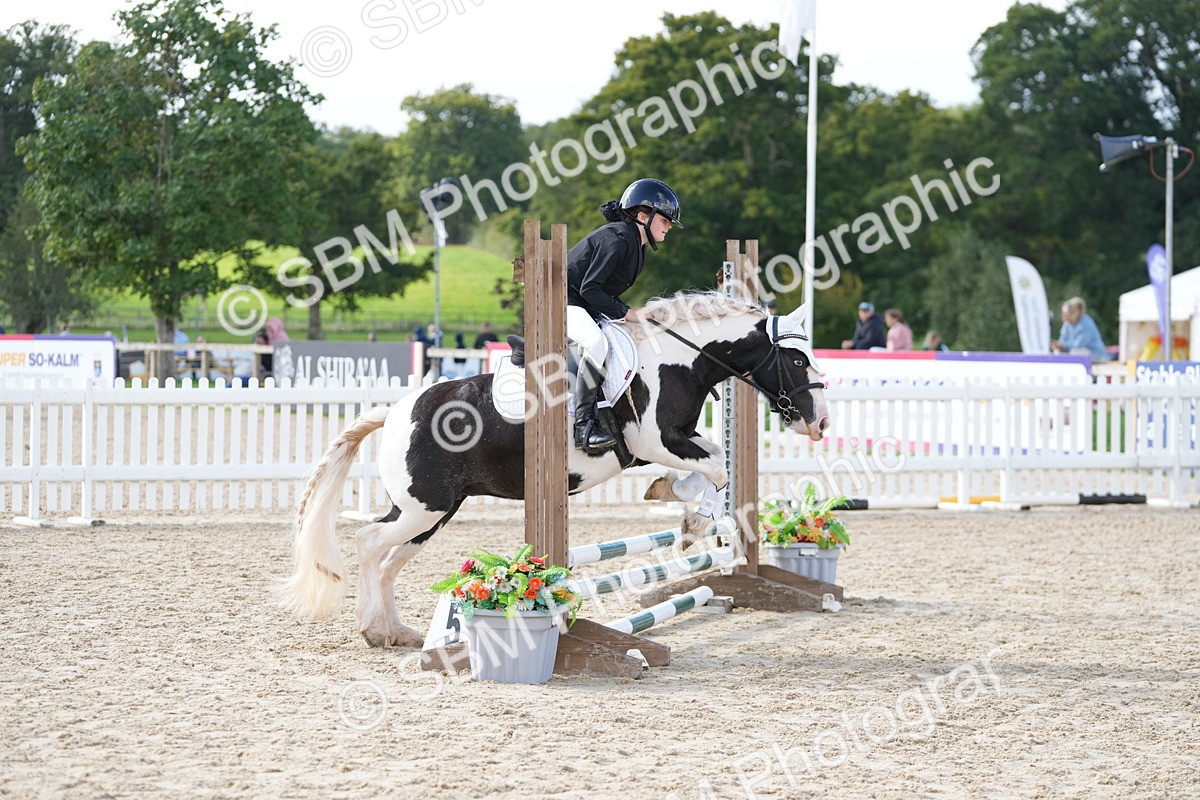 SBM_16816 - J58 - Clear Round 50cm