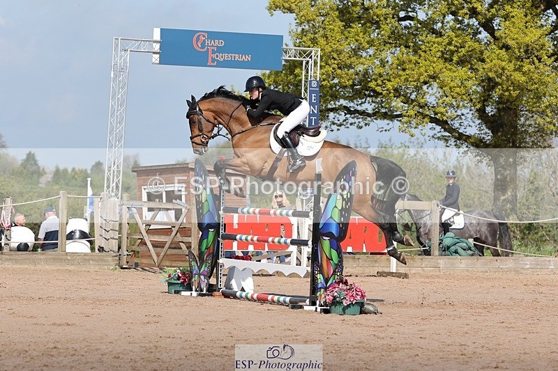 250427-102037-15305 - Cls 32 Young Horse 6yr old