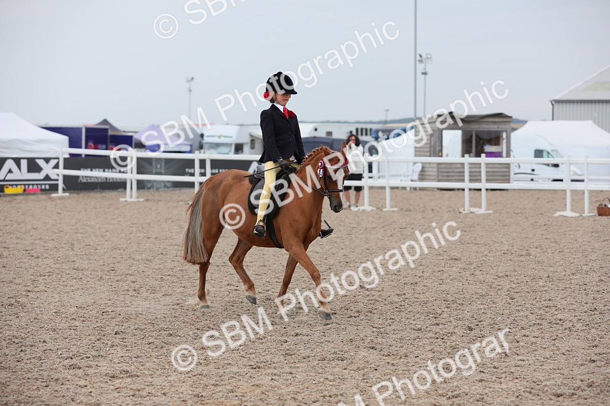 SBM_18150 - Class 316 Best Pony/Rider Combination