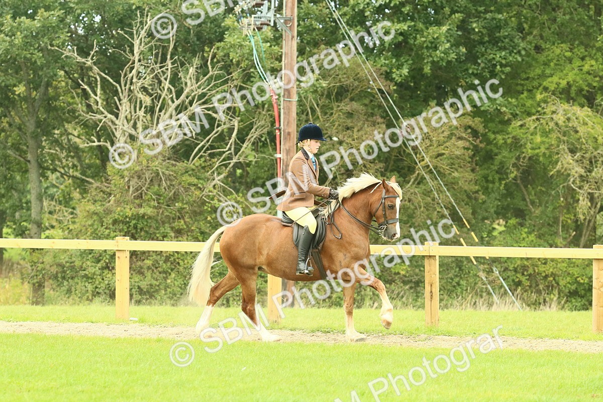 SBM_71890 - S60 - Mountain & Moorland Ridden Large Breeds