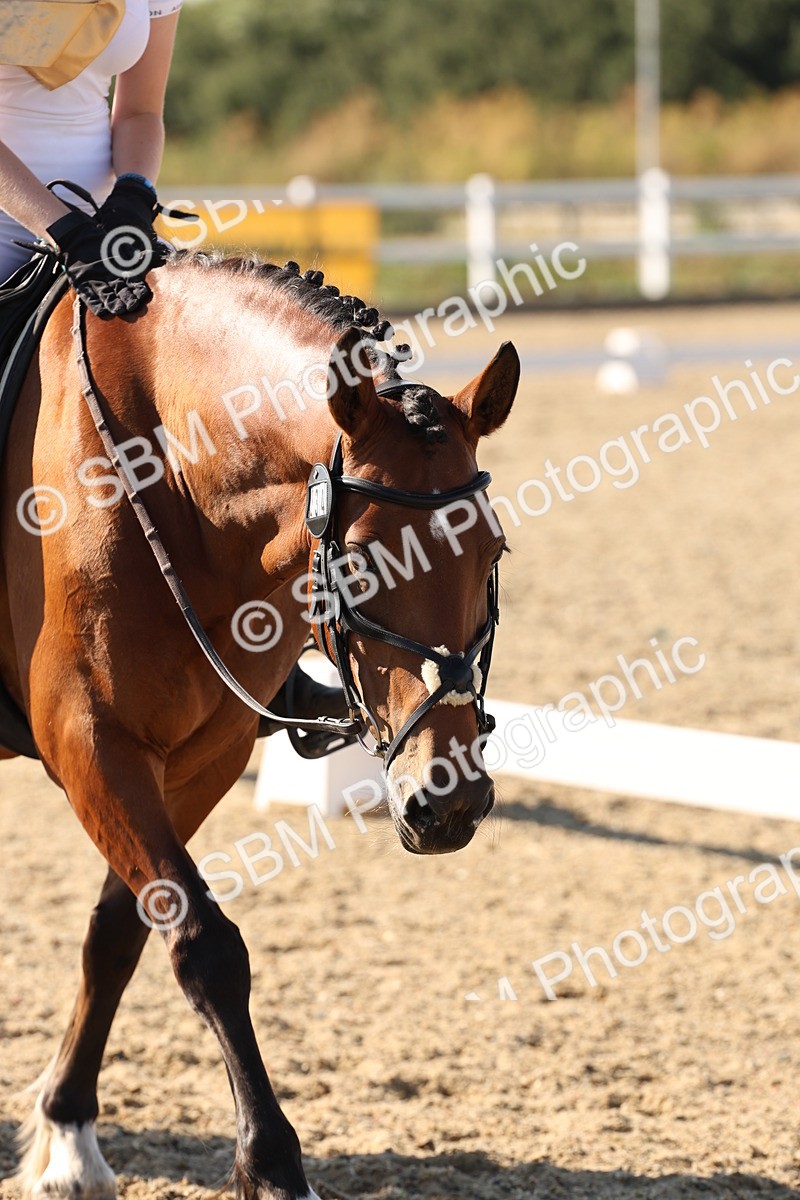 SBM_006980 - Prelim 4 - 15.56-17.51
