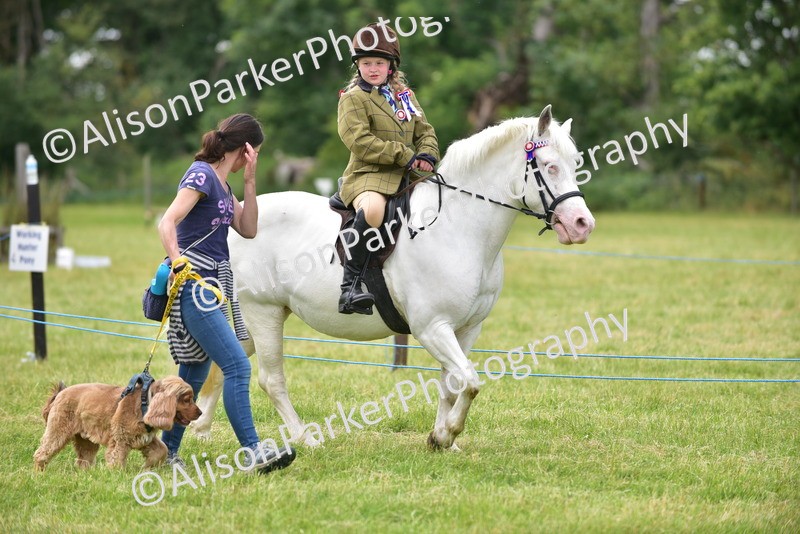 20260614-4530 - Class 19 - Cutest Pony, Rider and Dog Combination