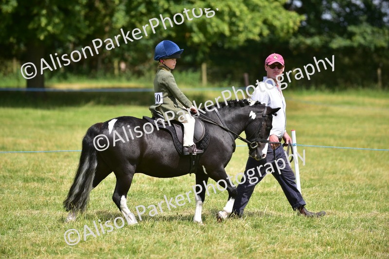 20260614-1353 - Class 11b - Lead Rein Pony (Plaited)