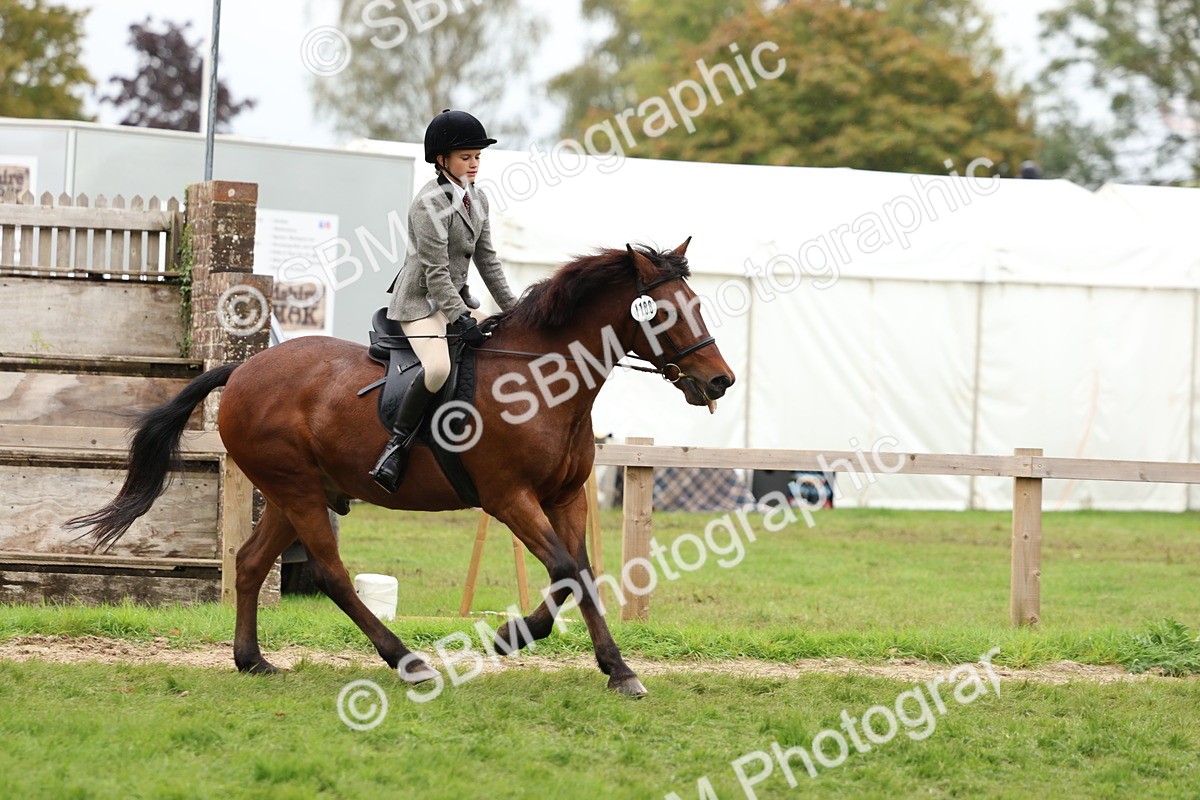 SBM_69620 - S62 - Mountain & Moorland Ridden Large Breeds