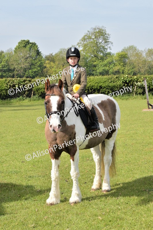 20260426-0949 - Class 18 - Novice Showing