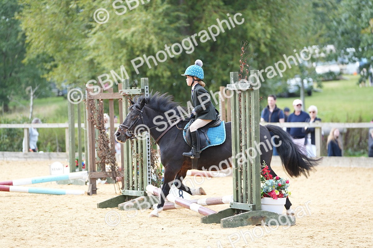 SBM_64574 - J2 - Mini Tour Junior Pony 30cm Championship