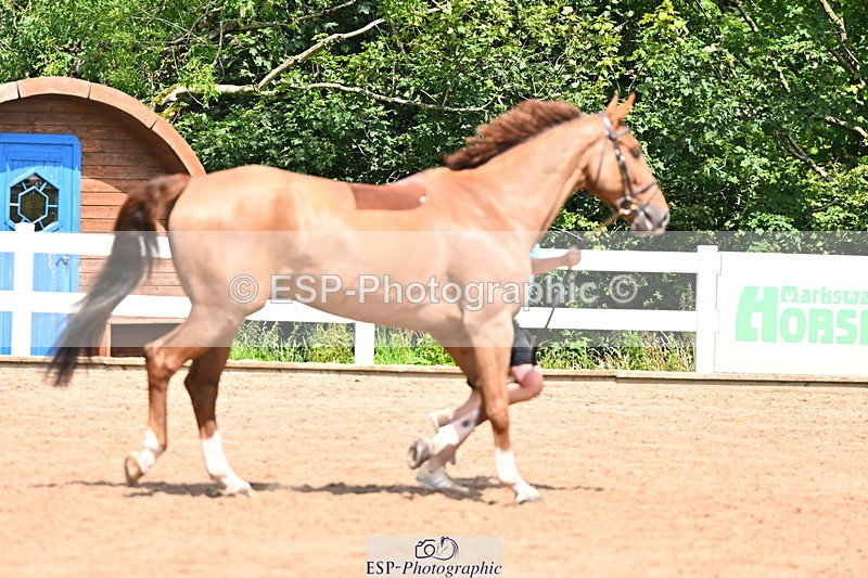 240718A-105303-01489 - Trot Up 12pm to 1pm
