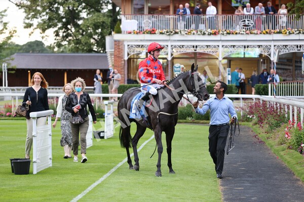 yr23072021r6-27 - Race 6 8.30pm Sky Bet Go-Racing-In-Yorkshire Summer Festival Stakes