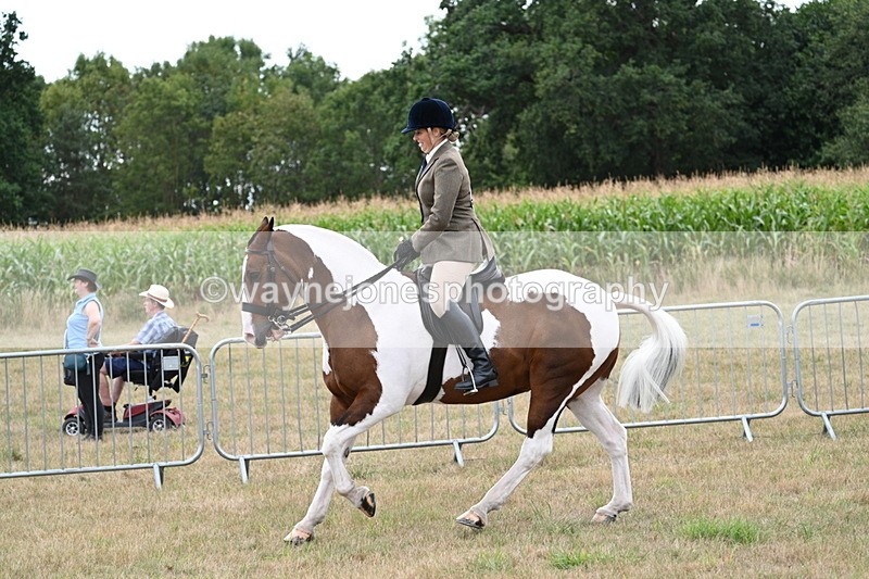 WJ7_5106 - Class 12 Ridden Cob