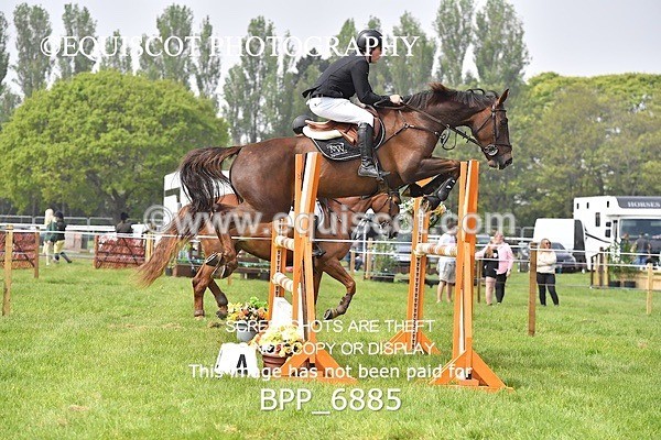BPP_6885 - CLASS 3 RHS Fox Champ Qual (1.20m)