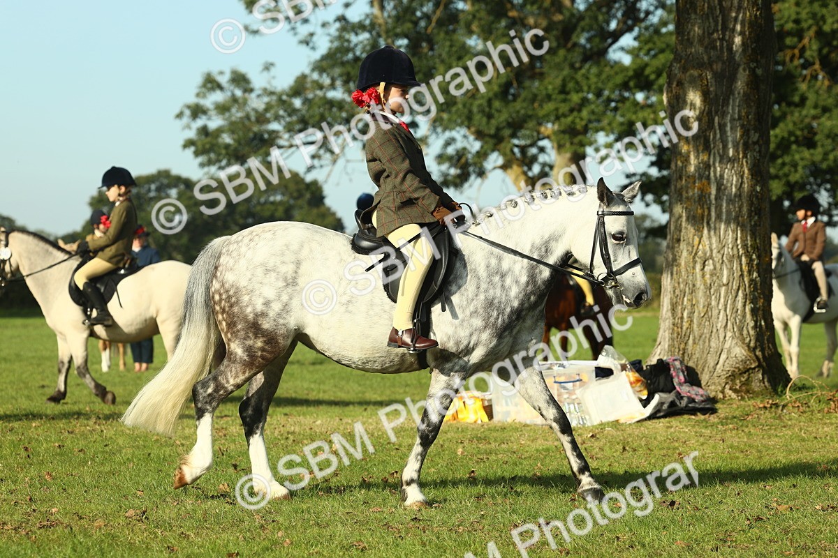 SBM_59213 - S38 - Starters Ridden Showing