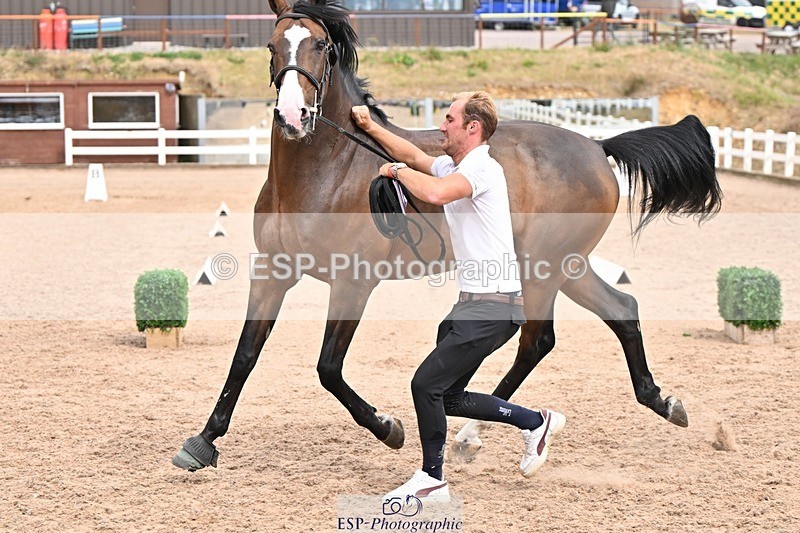 250716-161609-02539 - Trot Up 3.30 to 4.30