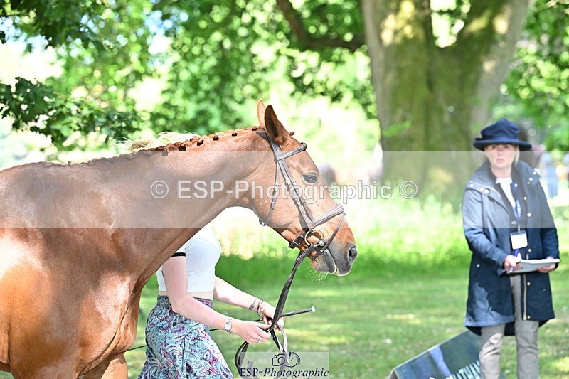 250521A-161223-00982 - C-260-Georgie.Frow-RIVERSTOWN.ROYAL