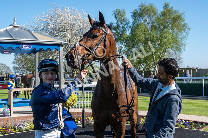 230426-Race 5-Naval Tribute-4999