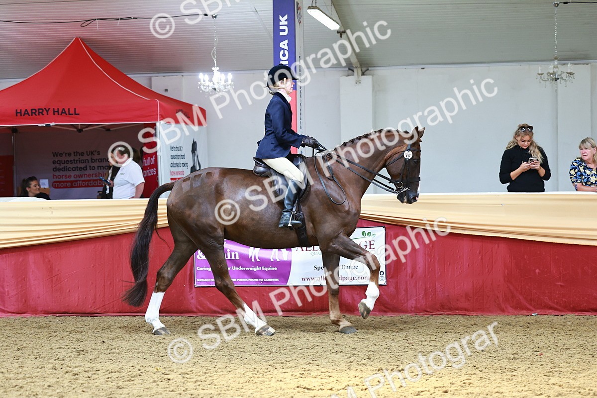 SBM_23336 - class 906 - Supreme Final - Ridden Pre Vet