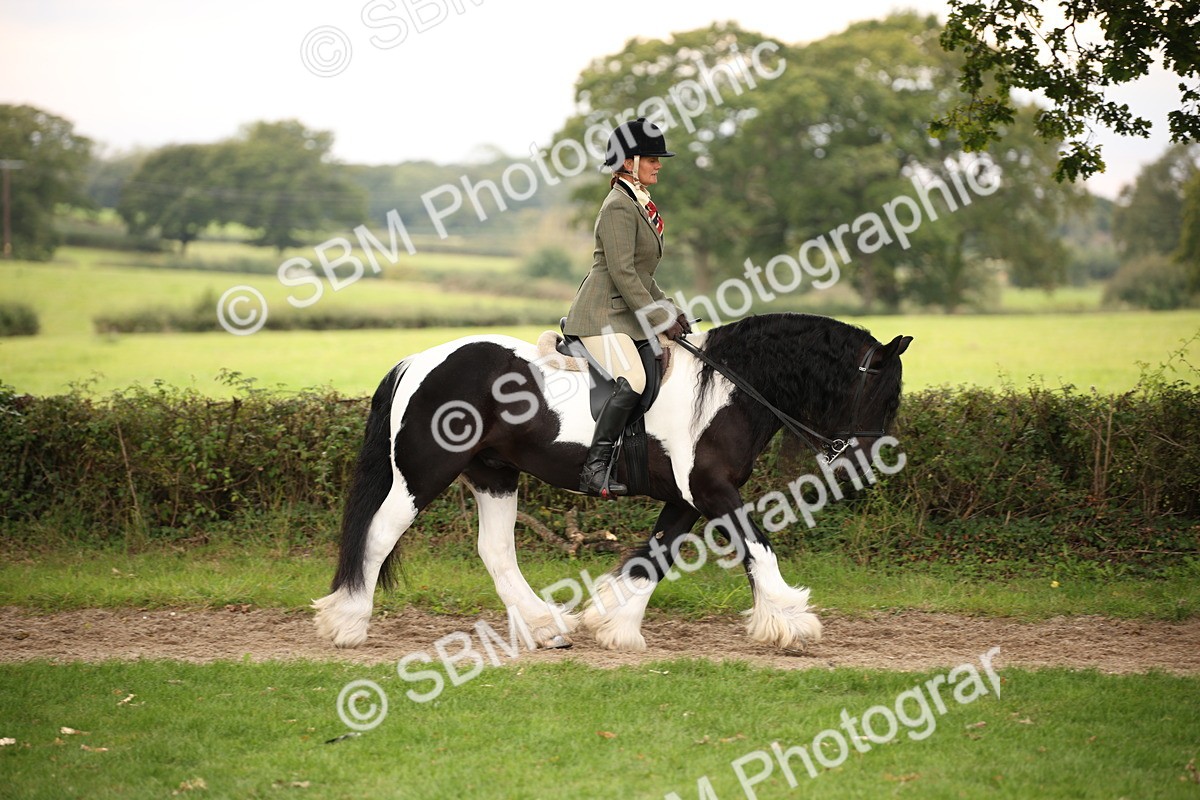 SBM_73423 - S68 - Traditional Cob Ridden