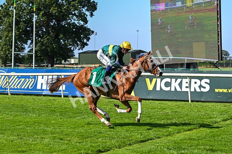 300824-Race 2-Consent-5736 - Race 2