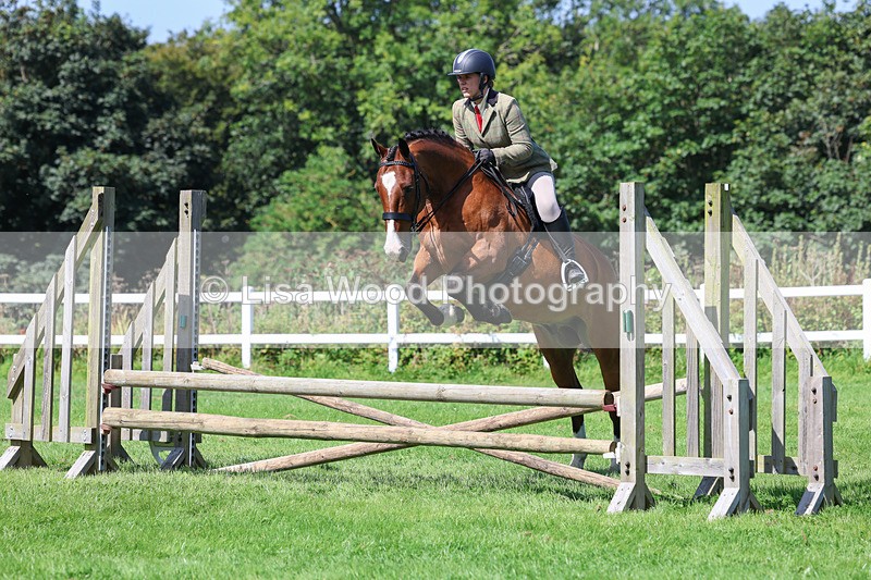 3E7A8543 - Class 5: Working Show Horse