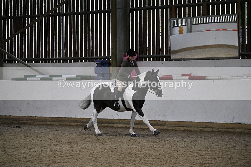 WJ7_4397 - Class 17 Ridden Cob