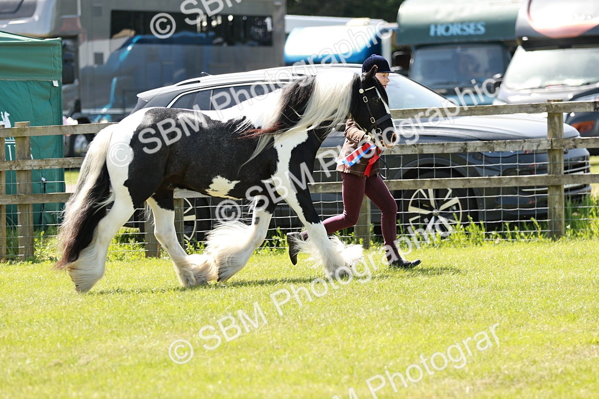 SBM_05548 - Class 41-45 - Riding Pony-Hunter Pony Breeding