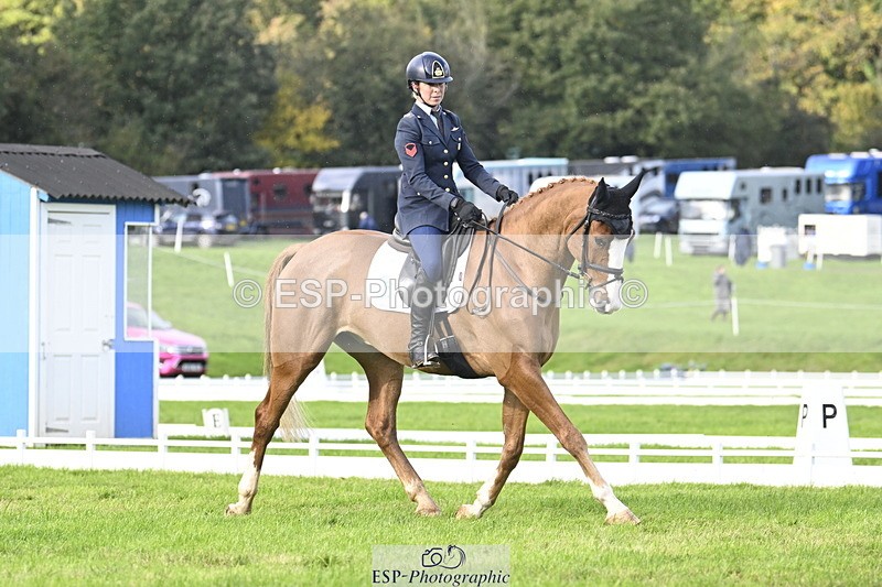 251023A-151437-04553 - E-387-Vittoria.Panizzon