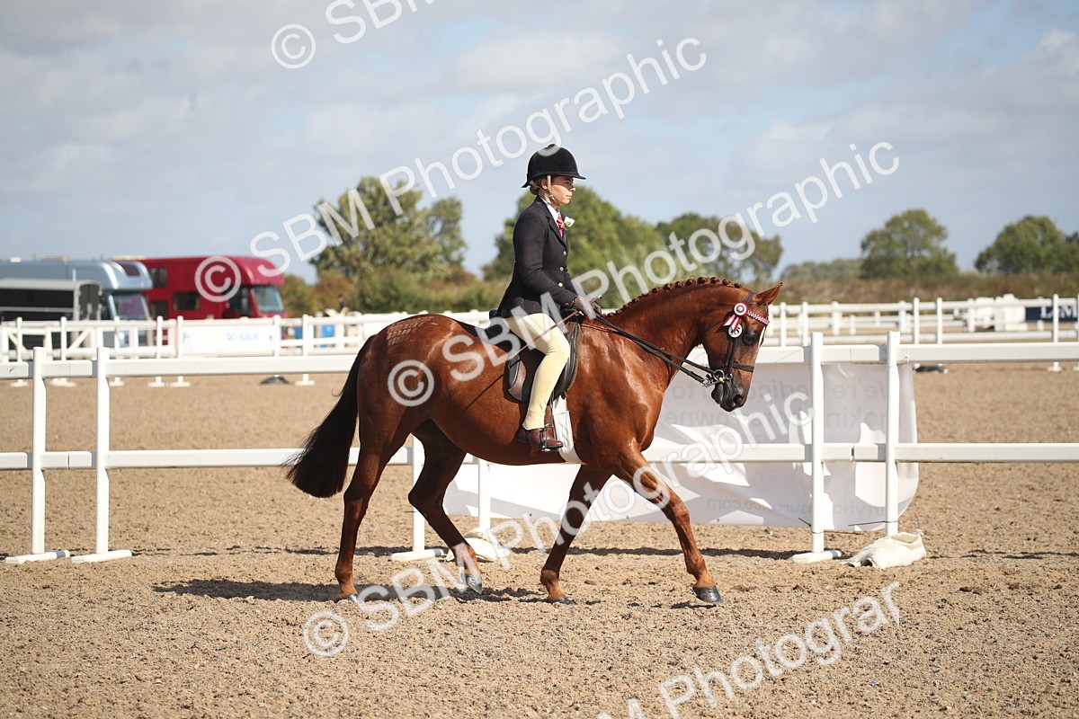 SBM_22902 - Class 603 - 2026 - Ridden Pre Vet