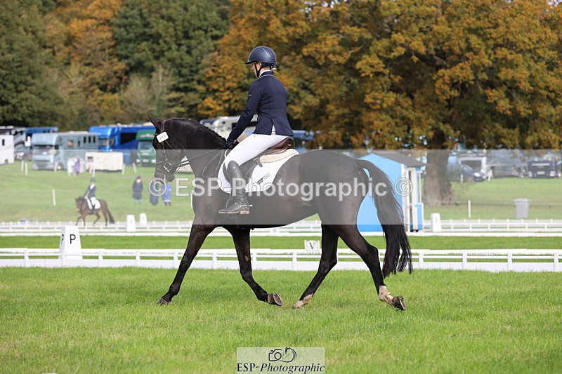 251023A-105553-03256 - D-311-Clare.Davenport