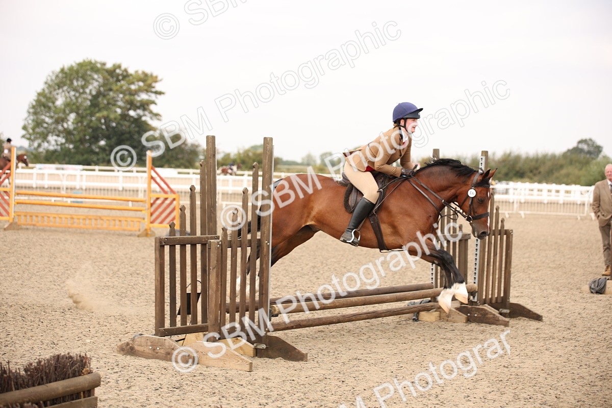 SBM_12248 - Class 405a - M&M Working Veteran 50cm (15-19)