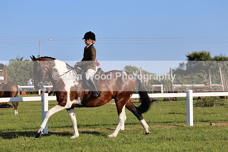 IMG_1243 - Class 27: Ridden Plaited Coloured Horse