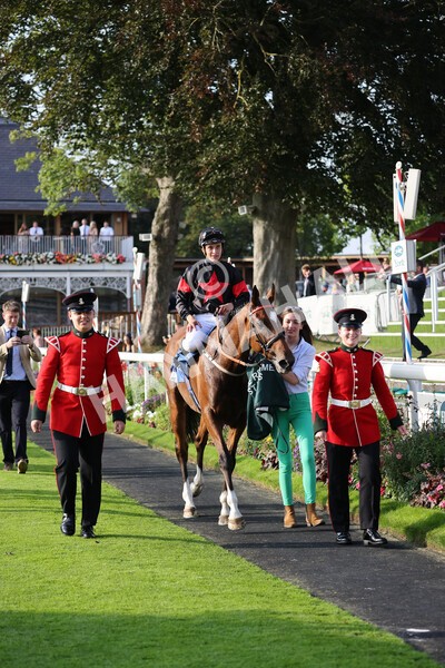 yr05092021r7-39 - Race 7 5.10pm Yorkshire Regiment Stakes