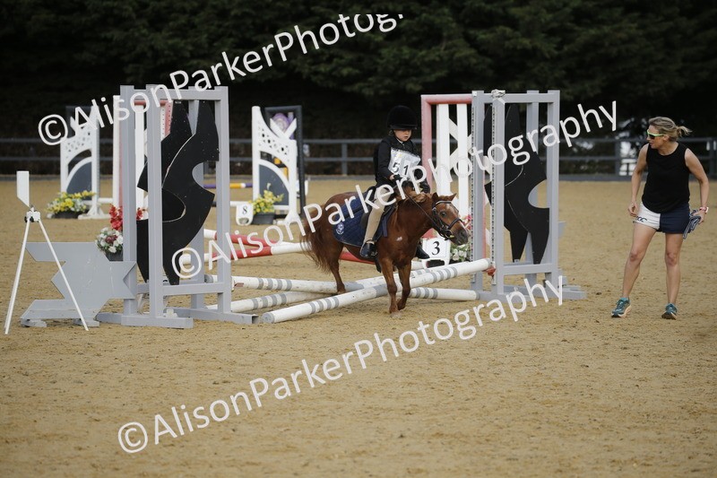 20250622-1357 - 40cm