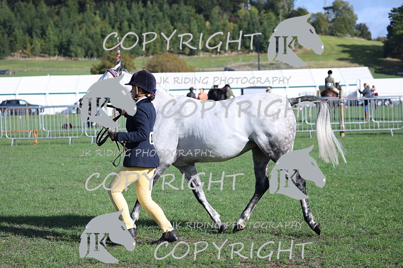 APP_2537 - Class 18 Young Handler