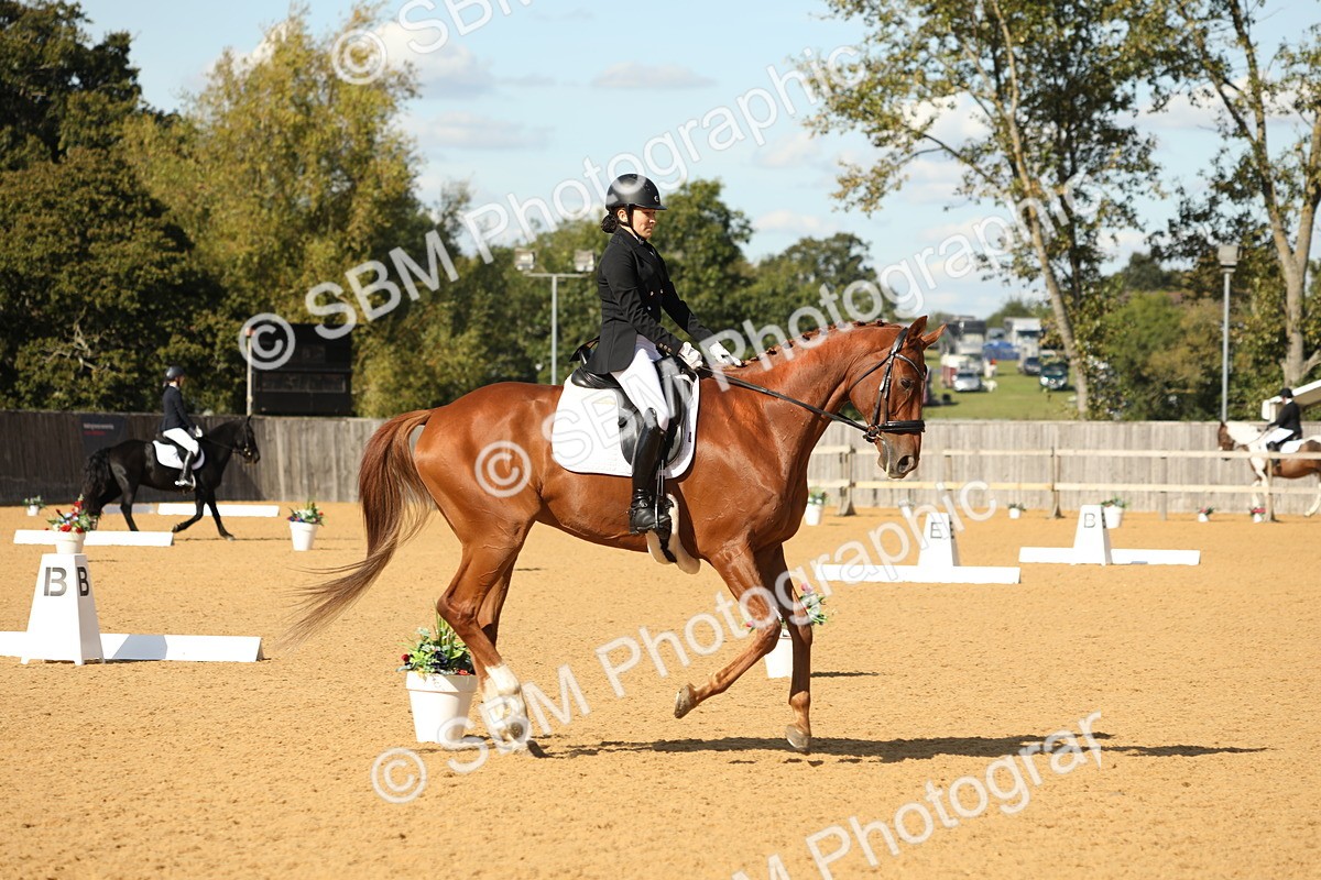 SBM_24619 - D17 - Grand Tour Championship - Novice 27