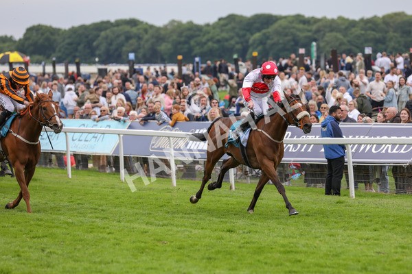 250524-Race 7-Feel The Need-3365 - Race 7 5.05pm Alf Duffield Memorial Handicap