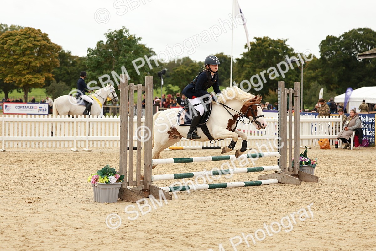 SBM_61748 - J12 - Junior Pony 55cm Championship