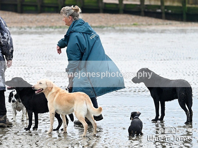 WJ7_9616 - Hayling Island Beach Shoot 22-09-24