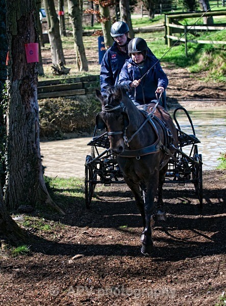 _DSC0069 - Ashfields Carriage & Polo Club