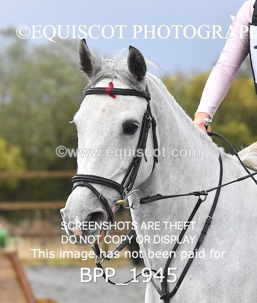 BPP_1945 - CLASS 4 90CM/1M