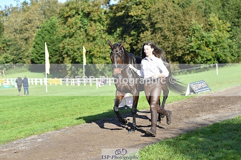 231022-102506-22465 - 435-TIMASSINI-Lana.Bennett-TrotUp+SJ