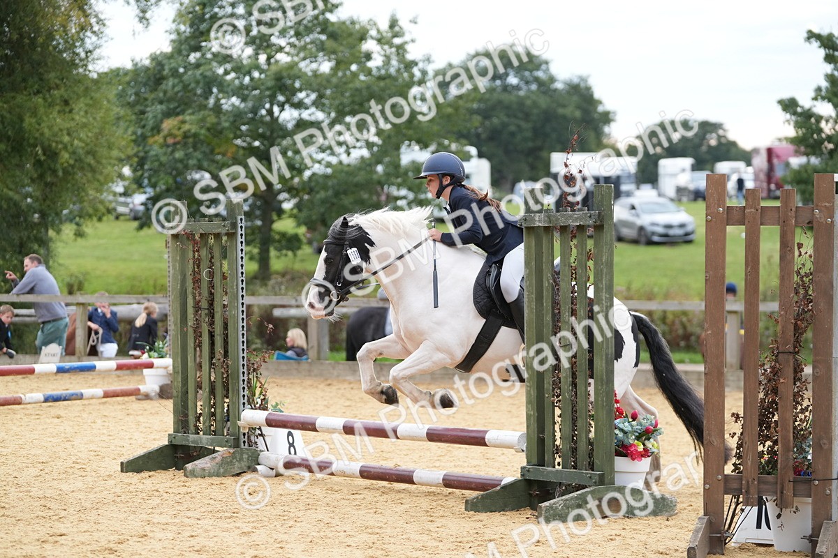 SBM_74810 - J4 - Mini Tour Junior Pony 45cm Championship