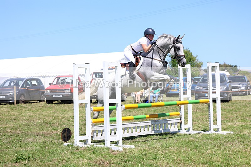 3E7A5607 - Class 9: Senior British Novice/90cm open