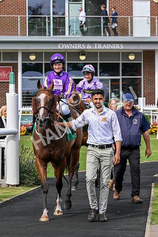 280826-Race 1-Hatamoto-4280 - Race 1 2.13pm AJA Novice Flat Amateur Jockeys' Handicap