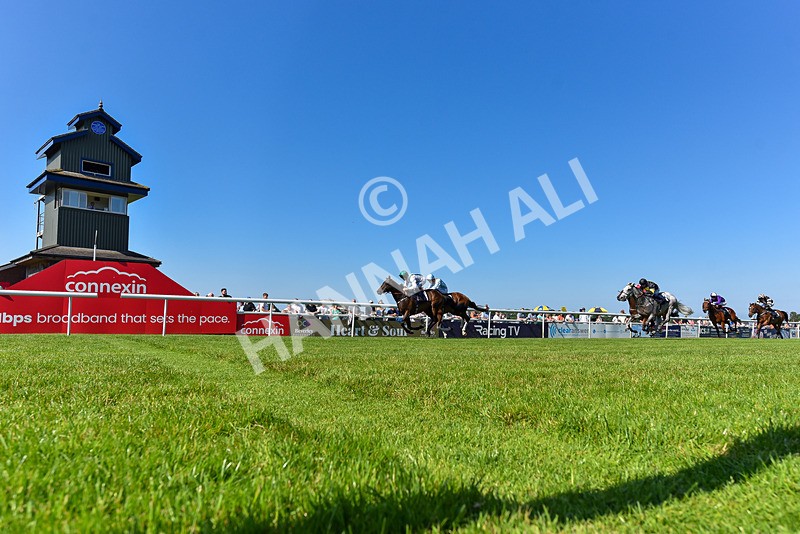 250624-Race 6-Cockalorum-9432 - Race 6