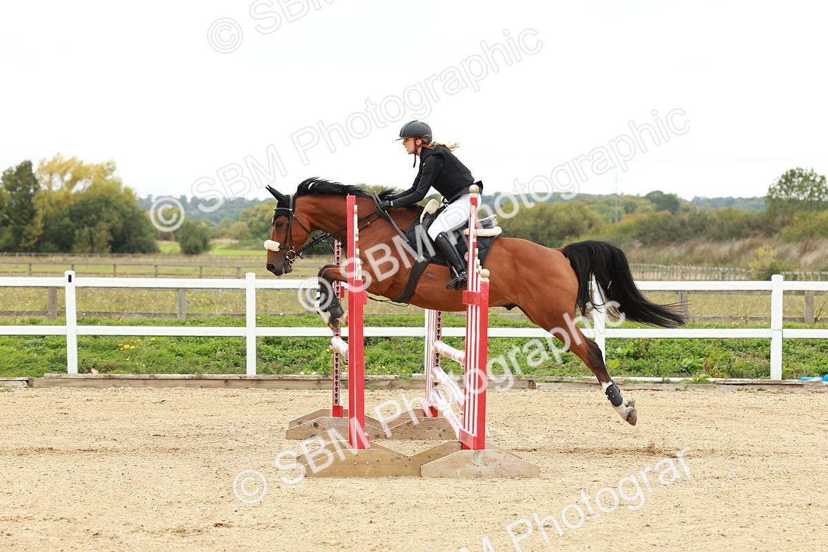 1I0A6871 - Class 2 - Senior British Novice